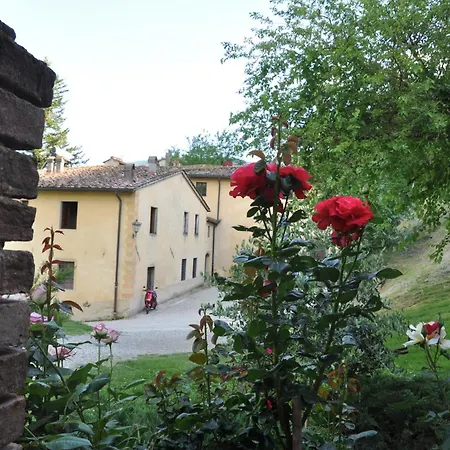 Di Alberi Borgo San Lorenzo