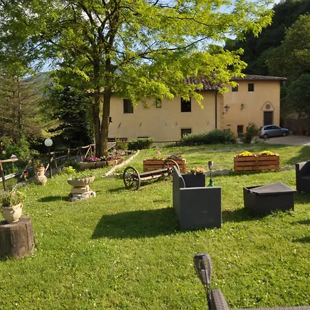 Di Alberi 2* Borgo San Lorenzo