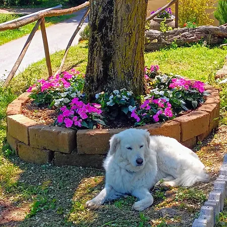 Di Alberi Panzió 4*