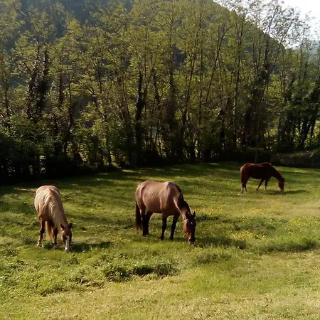 Di Alberi 4* Borgo San Lorenzo