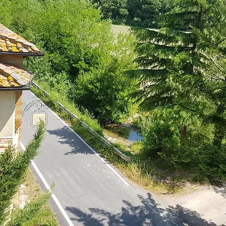 Di Alberi Borgo San Lorenzo