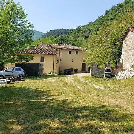 Di Alberi 4*