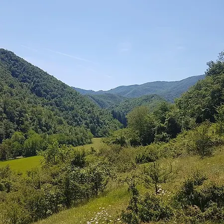 Di Alberi Panzió 4*